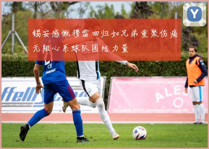 锡安感慨穆雷回归如兄弟重聚伤痛无阻心系球队团结力量