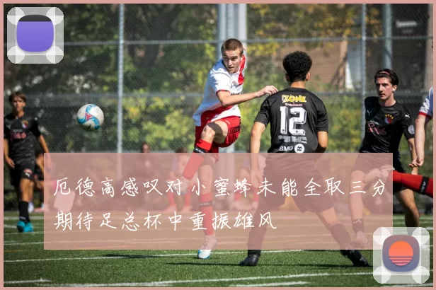厄德高感叹对小蜜蜂未能全取三分期待足总杯中重振雄风